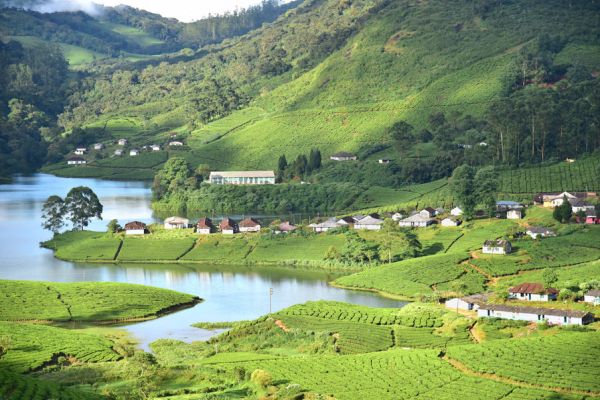 assets/images/web-images/packages/kerala41.jpg