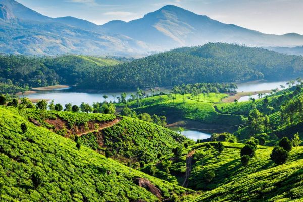 assets/images/web-images/packages/munnar.jpg
