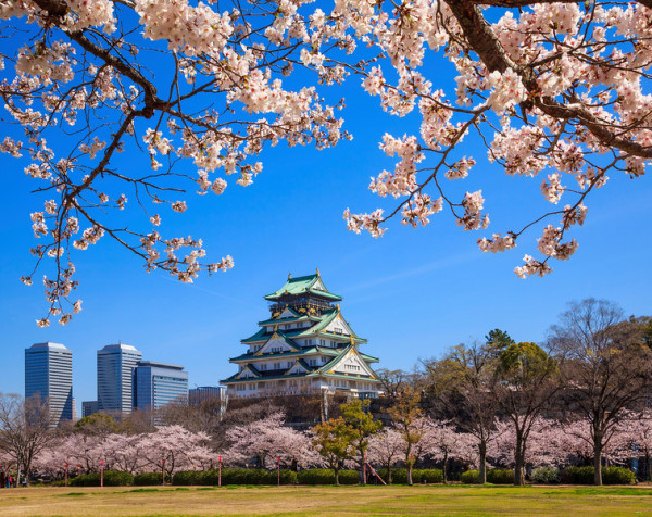 Japan: Fuji, Kyoto & Bullet Train