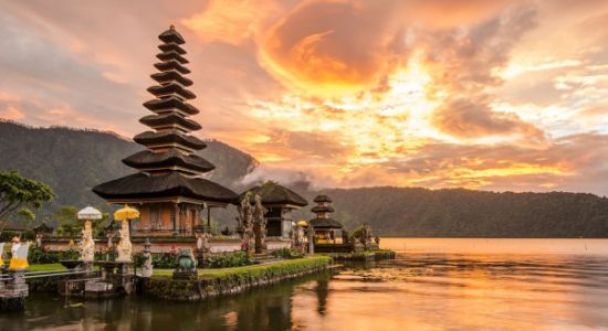 The Bali Experience