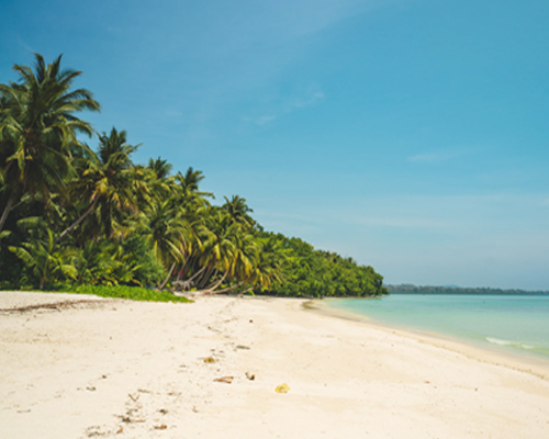 Andaman Tour Packages: Best Time to Visit