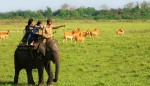 North East Tourist Places | Best Time & Sightseeing