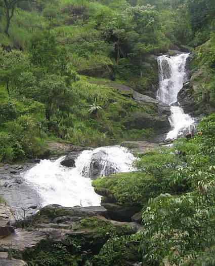 Nagarhole