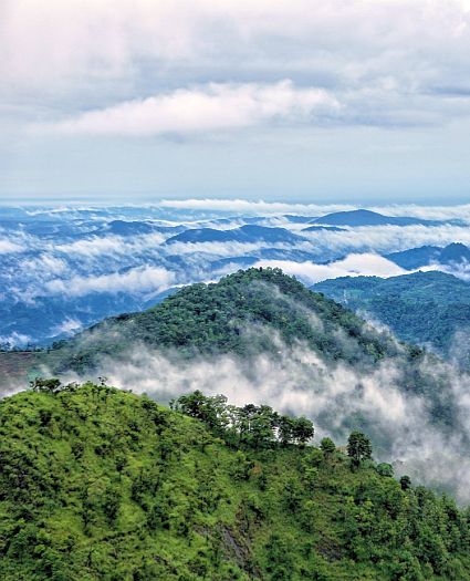 Wayanad