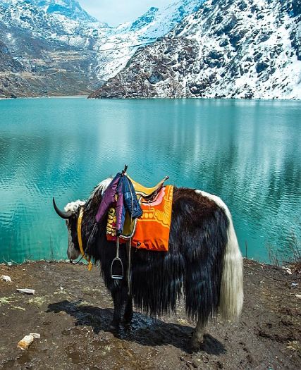 Gangtok