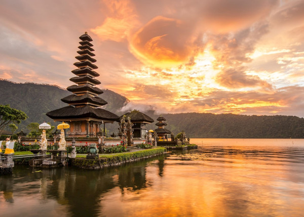 The Bali Experience