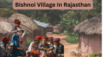 Bishnoi Village In Rajasthan: Visit Most Sustainable Village In The World
