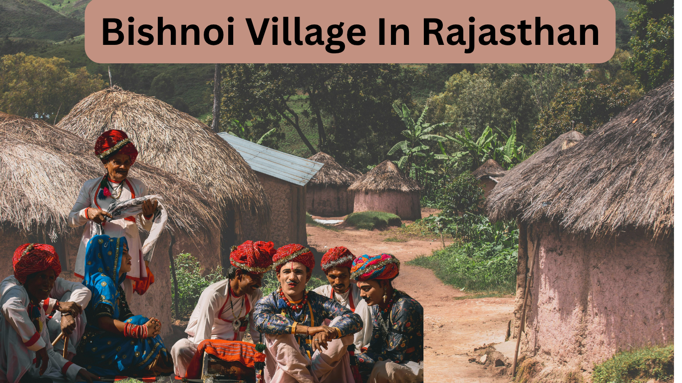 Bishnoi Village In Rajasthan: Visit Most Sustainable Village In The World